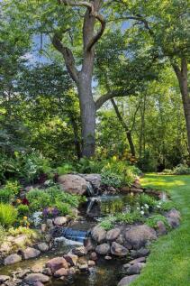 Property Image 65