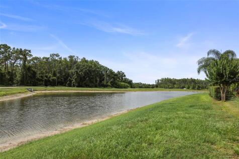 Property Image 65