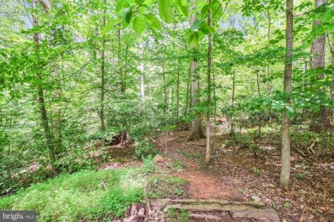 Property Image 109