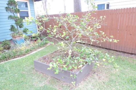 Property Image 59