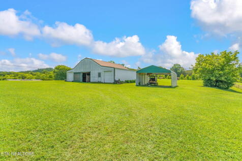 Property Image 57