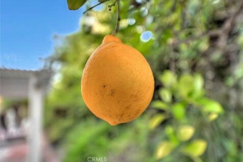 Property Image 64