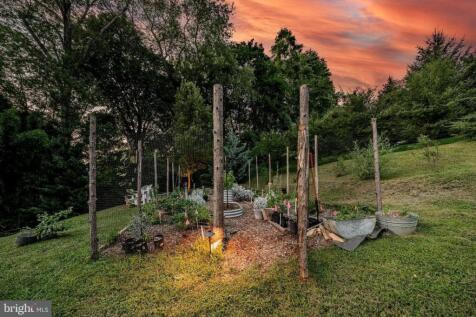 Property Image 82