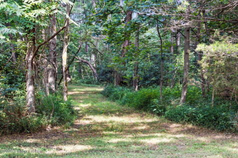 Property Image 106