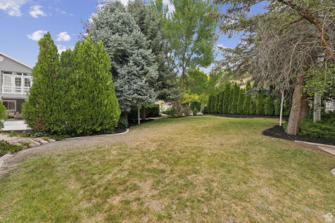 Property Image 65
