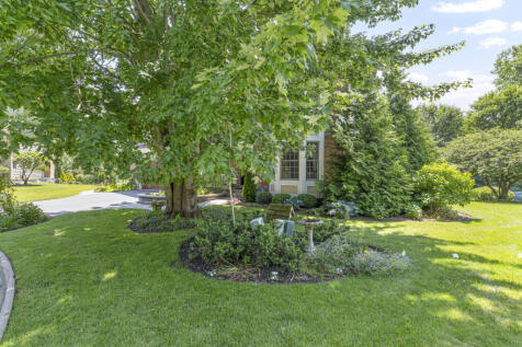 Property Image 47