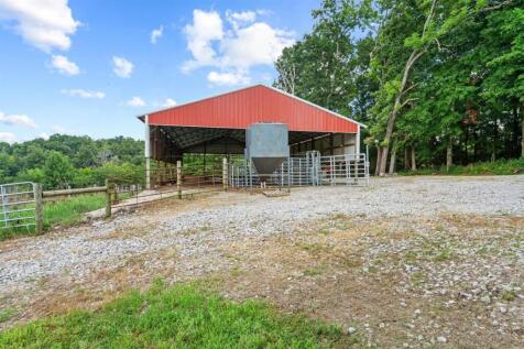 Property Image 61