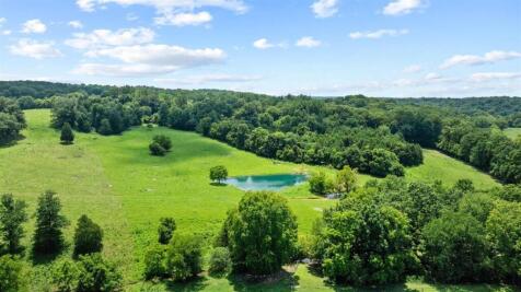 Property Image 69