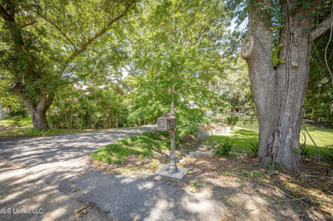 Property Image 91
