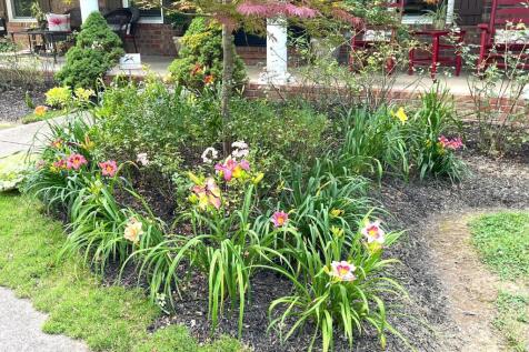 Property Image 66