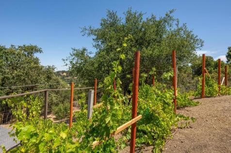 Property Image 61