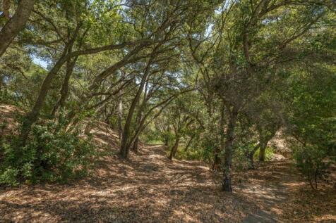 Property Image 65