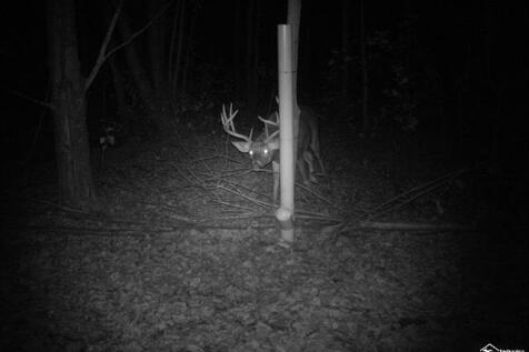 Property Image 98