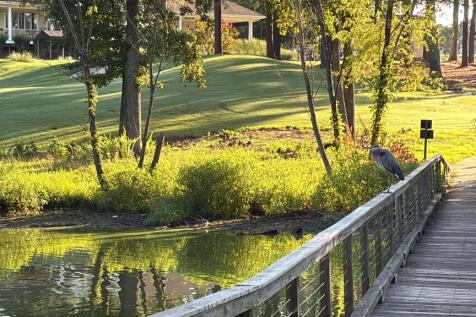 Property Image 67