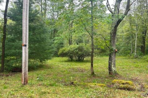 Property Image 61