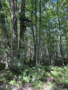 Property Image 64