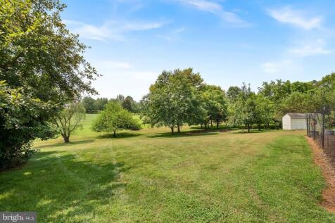 Property Image 81
