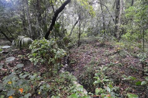 Property Image 65