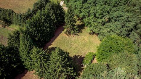 Property Image 67