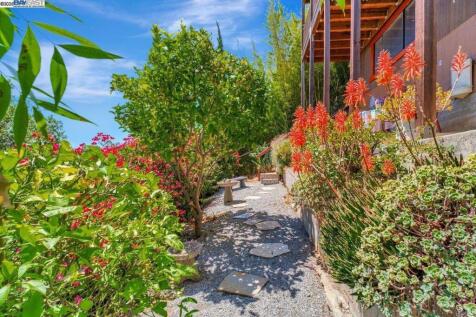 Property Image 59