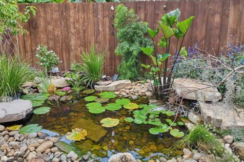 Property Image 56