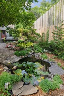 Property Image 64