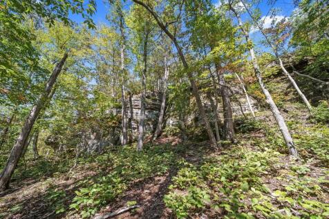 Property Image 158