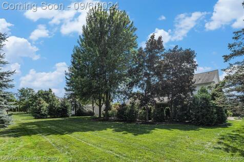 Property Image 53