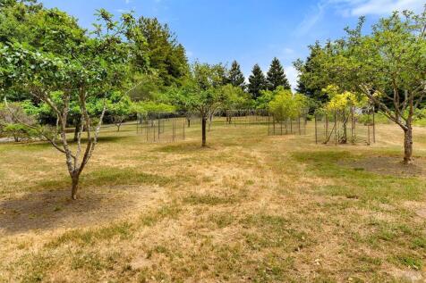 Property Image 64