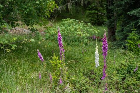 Property Image 66