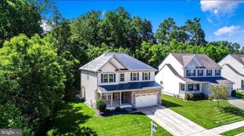 Property Image 61