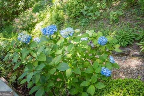 Property Image 57