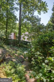 Property Image 61