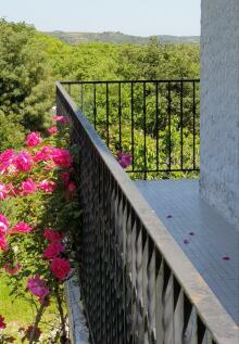 Balcony garden view