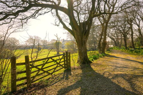 Property Image 32