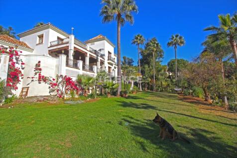 Property Image 23