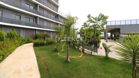 Property Image 17