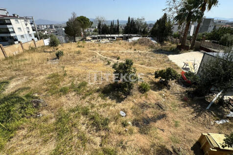 Property Image 45
