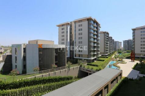 Property Image 39