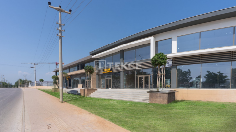 Property Image 4