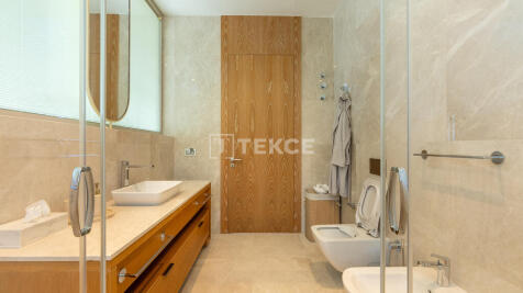 Property Image 81