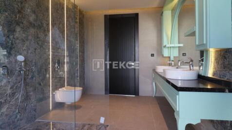Property Image 61