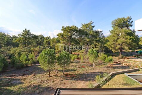 Property Image 56