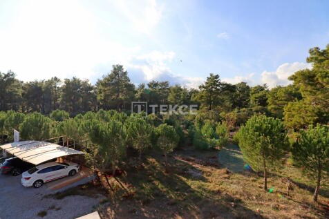 Property Image 58
