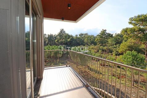 Property Image 60