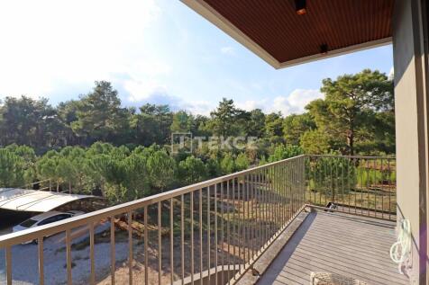 Property Image 62