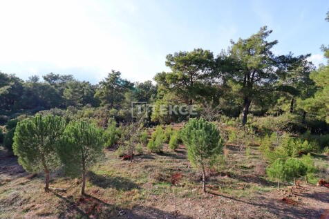 Property Image 67