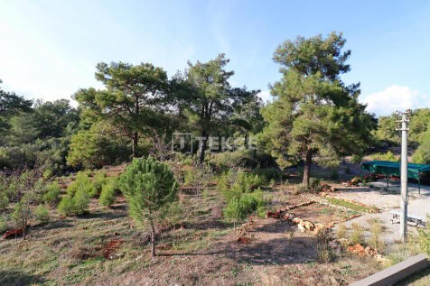 Property Image 68