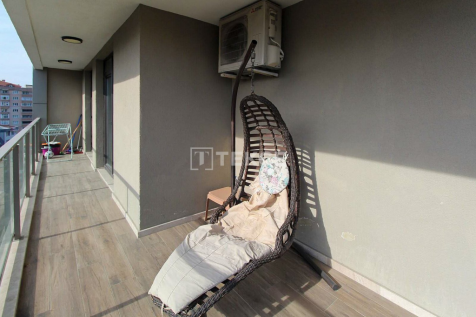 Property Image 33