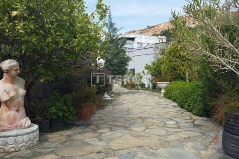 Property Image 24